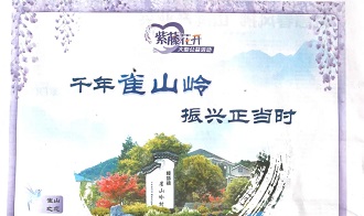 慈孝堂网站新闻首页图片